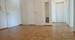 Wohnungseingang / Dielenbereich