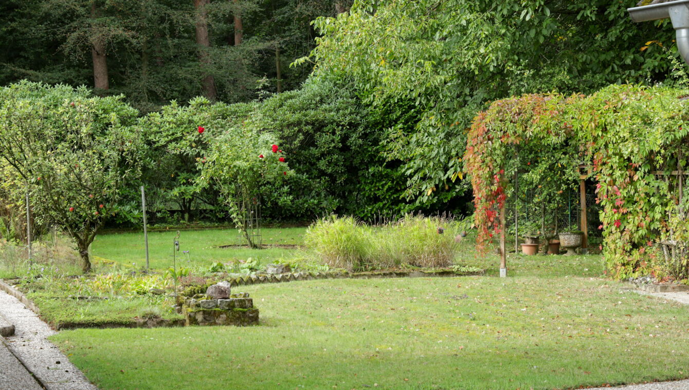 Bild #33