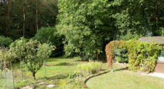 Gartenimpressionen 2