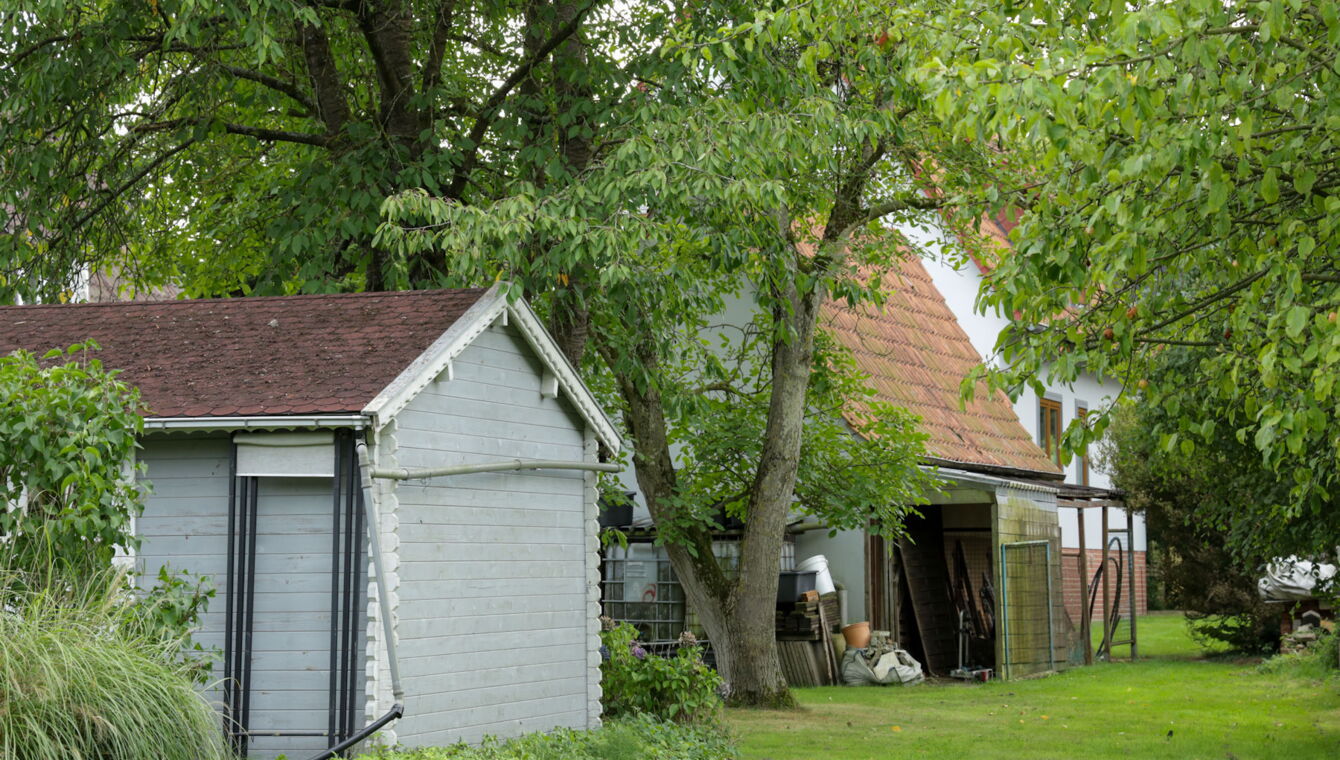 Gartenimpressionen 3