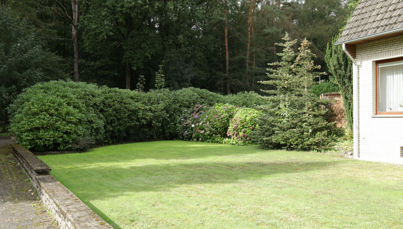 Vorgarten