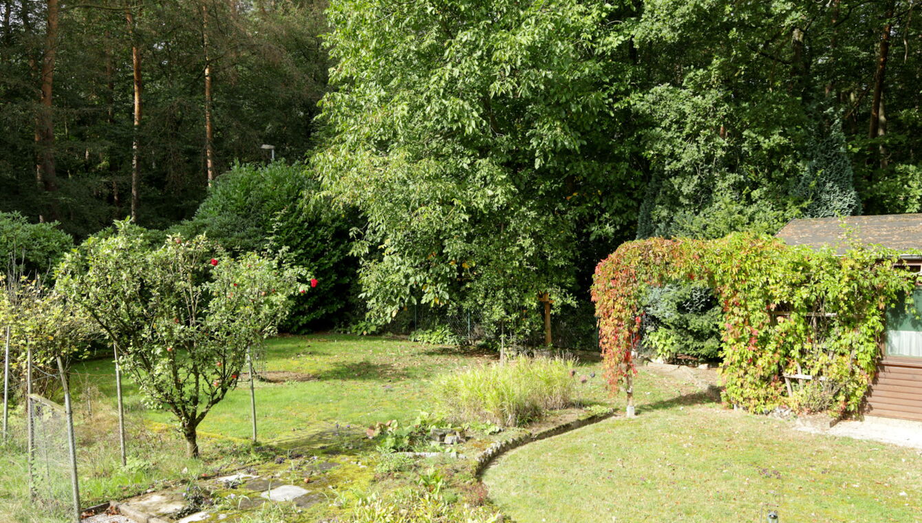 Gartenimpressionen 2