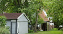 Gartenimpressionen 3