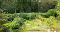 Ausblick Balkon