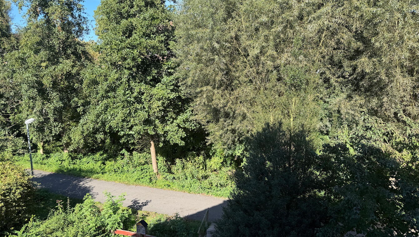Blick aus dem Schlafzimmer OG