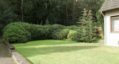 Vorgarten